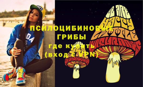 метадон Алексеевка