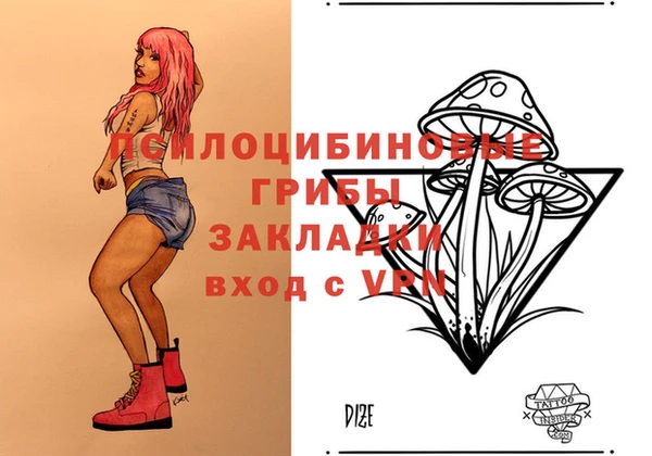 метадон Алексеевка