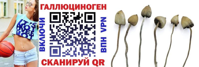 Псилоцибиновые грибы Cubensis Большой Камень